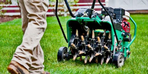 Lawn Aeration, Lawn Overseeding, Lawn Maintenance, Weed Control, Fertilization