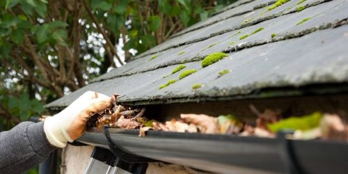 Cleaning Gutters, Gutter cleaning company, Gutter installer, gutters, Leaf Removal